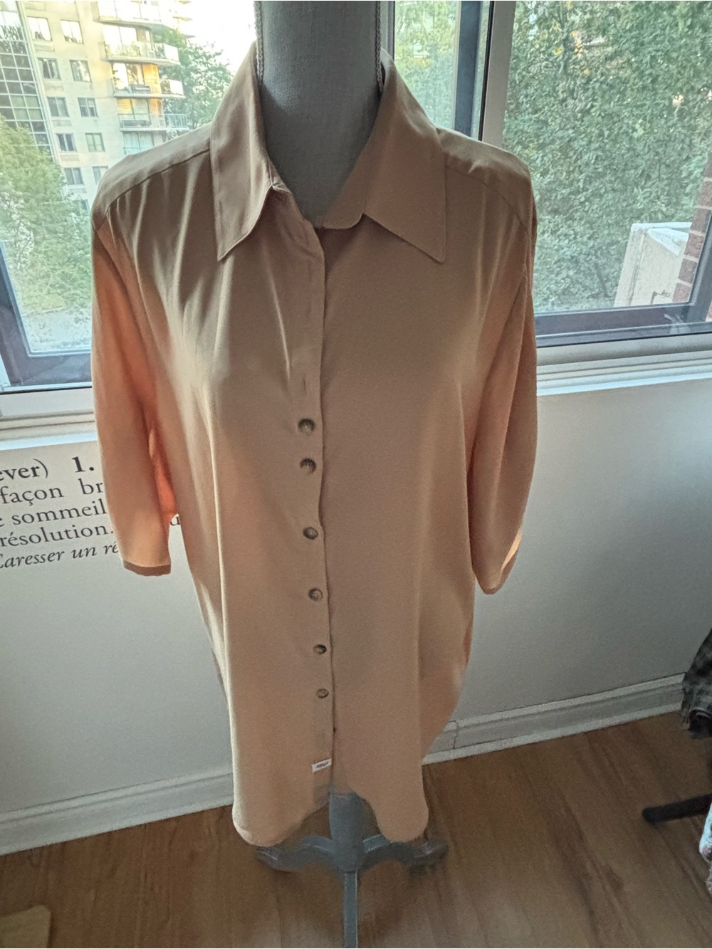 Classic Tan Button-Down Blouse with Point Collar